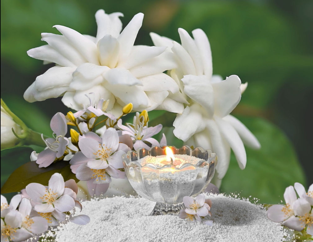 Mogra - Floral Serenity